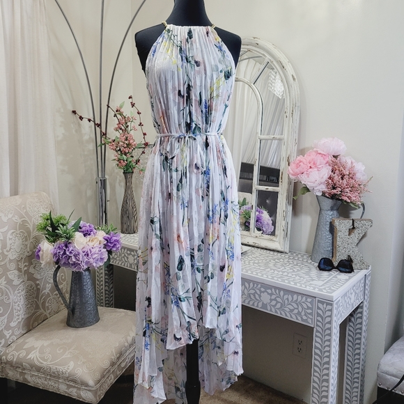 🍒NWT🍒 TED BAKER DIP HEM PLEATED DRESS - Picture 4 of 7